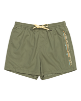 The Quiksilver Mens Behind Waves Volley Shorts in Four Leaf Clover