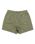 The Quiksilver Mens Behind Waves Volley Shorts in Four Leaf Clover