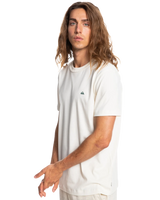 The Quiksilver Mens Essentials T-Shirt in Antique White