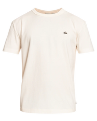 The Quiksilver Mens Essentials T-Shirt in Antique White