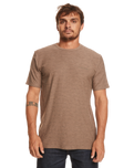 The Quiksilver Mens Kentin T-Shirt in Kentin Fossil