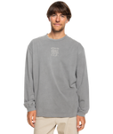 The Quiksilver Mens Emby Mineral T-Shirt in Canteen