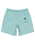 The Quiksilver Mens Taxer Walkshorts in Aquifer