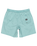 The Quiksilver Mens Taxer Walkshorts in Aquifer