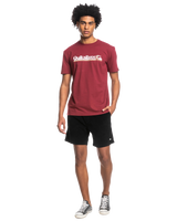 The Quiksilver Mens All Lined Up T-Shirt in Ruby Wine