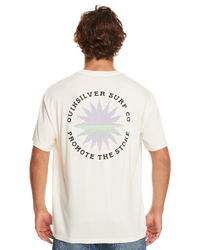 The Quiksilver Mens Fading Sun T-Shirt in Birch