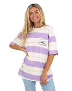 The Quiksilver Womens Collection Womens The Boyf Stripe T-Shirt in Pastel Lilac