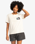 The Quiksilver Womens Collection Womens Uni Screen T-Shirt in Birch