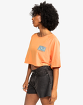 The Quiksilver Womens Collection Womens Uni Maxi Raglan Screen T-Shirt in Tangerine