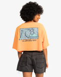 The Quiksilver Womens Collection Womens Uni Maxi Raglan Screen T-Shirt in Tangerine