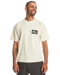 The Quiksilver Mens Back Flash T-Shirt in Birch