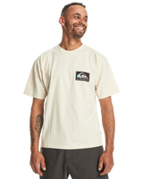 The Quiksilver Mens Back Flash T-Shirt in Birch