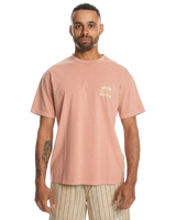 The Quiksilver Mens Lifes Quik T-Shirt in Canyon Clay