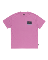 The Quiksilver Mens Spin Cycle T-Shirt in Violet