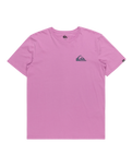 The Quiksilver Mens Mini Logo T-Shirt in Violet