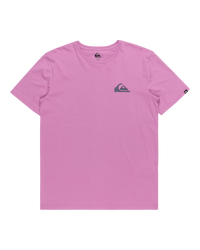 The Quiksilver Mens Mini Logo T-Shirt in Violet