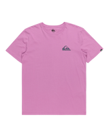 The Quiksilver Mens Mini Logo T-Shirt in Violet