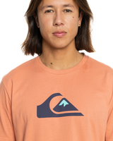 The Quiksilver Mens Comp Logo T-Shirt in Canyon Clay