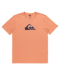 The Quiksilver Mens Comp Logo T-Shirt in Canyon Clay