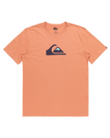 The Quiksilver Mens Comp Logo T-Shirt in Canyon Clay