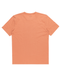 The Quiksilver Mens Comp Logo T-Shirt in Canyon Clay