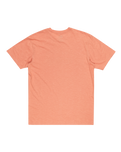 The Quiksilver Mens Step Inside T-Shirt in Canyon Clay