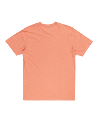 The Quiksilver Mens Step Inside T-Shirt in Canyon Clay