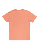 The Quiksilver Mens Step Inside T-Shirt in Canyon Clay