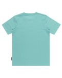 The Quiksilver Mens Basic T-Shirt in Marine Blue