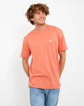 Basic T-Shirt in Canyon Clay