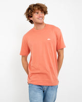 Basic T-Shirt in Canyon Clay