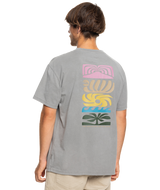 The Quiksilver Mens Kaltag Mineral T-Shirt in Canteen