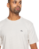 The Quiksilver Mens Nep Screen T-Shirt in Birch