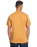 The Quiksilver Mens Gradient Mountains T-Shirt in Bone Brown