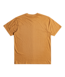 The Quiksilver Mens Gradient Mountains T-Shirt in Bone Brown