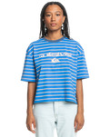 The Quiksilver Womens Collection Womens Uni Stripe and Arts T-Shirt in Nebulas