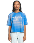 The Quiksilver Womens Collection Womens Uni Stripe and Arts T-Shirt in Nebulas