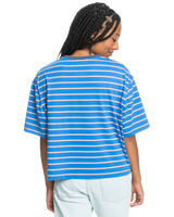 The Quiksilver Womens Collection Womens Uni Stripe and Arts T-Shirt in Nebulas