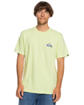 The Quiksilver Mens MW Logo T-Shirt in Shadow Lime