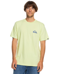 The Quiksilver Mens MW Logo T-Shirt in Shadow Lime