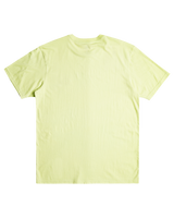 The Quiksilver Mens MW Logo T-Shirt in Shadow Lime