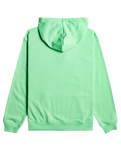 The Roxy Womens Thats Rad Hoodie in Absinthe Green