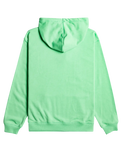 The Roxy Womens Thats Rad Hoodie in Absinthe Green