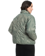 Wind Swept Jacket in Agave Green