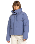 The Roxy Womens Winter Rebel Insulated Jacket in Wild Wind