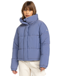 The Roxy Womens Winter Rebel Insulated Jacket in Wild Wind