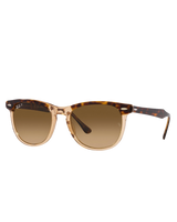 Eagle Eye Polarised Sunglasses in Polished Havana On Transparent Brown & Brown