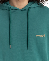 The Element Mens Cornell 3.0 Hoodie in Jasper