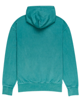 The Element Mens Cornell 3.0 Hoodie in Jasper