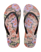 Dama Flip Flops in Black & Pink